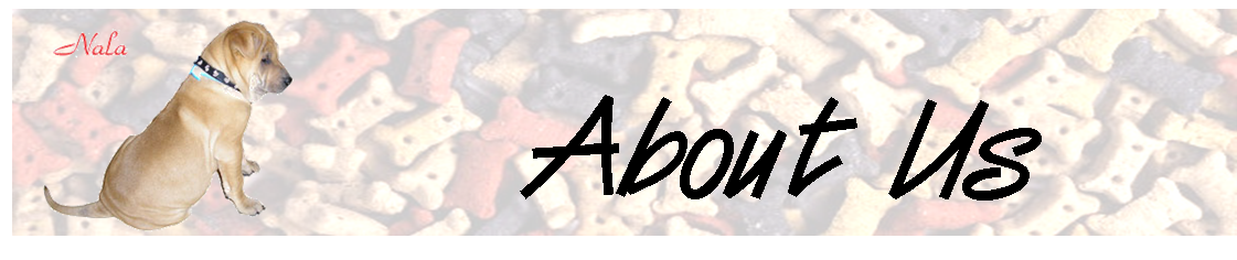 about-us.png about-us.png