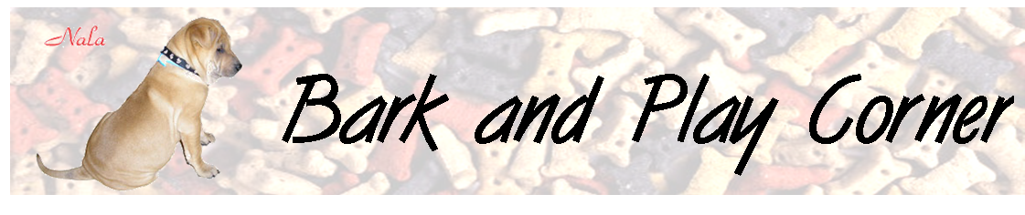 bark-and-play-corner.png