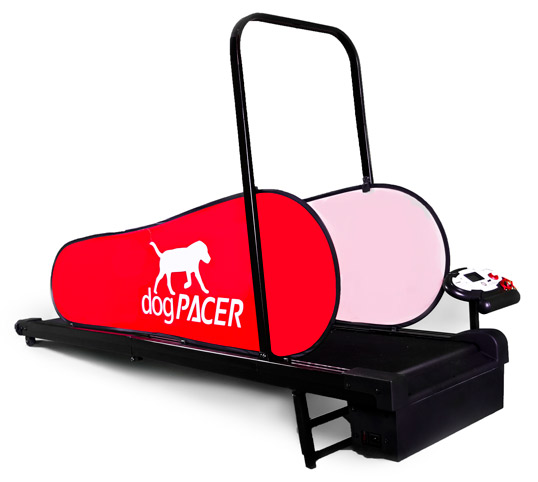 dogpacer-2.jpg