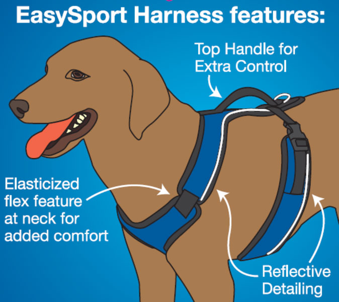 easysport-harness-diagram.jpg