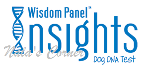 insights-logo.png