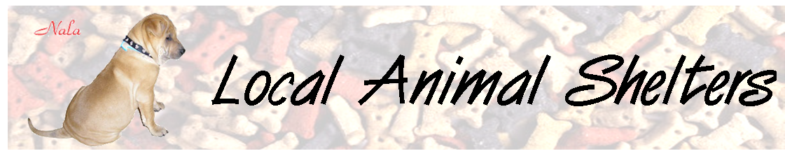 local-animal-shelters.png