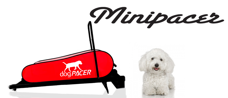 minipacer-header.png