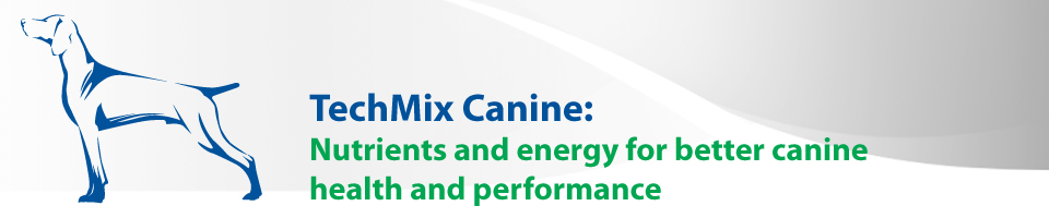 techmix-canine.jpg